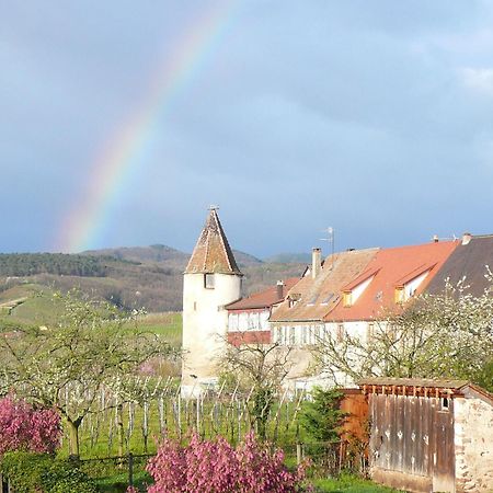 Hotel Munsch Restaurant & Wellness, Colmar Nord - Haut-Koenigsbourg Сент-Ипполит Экстерьер фото